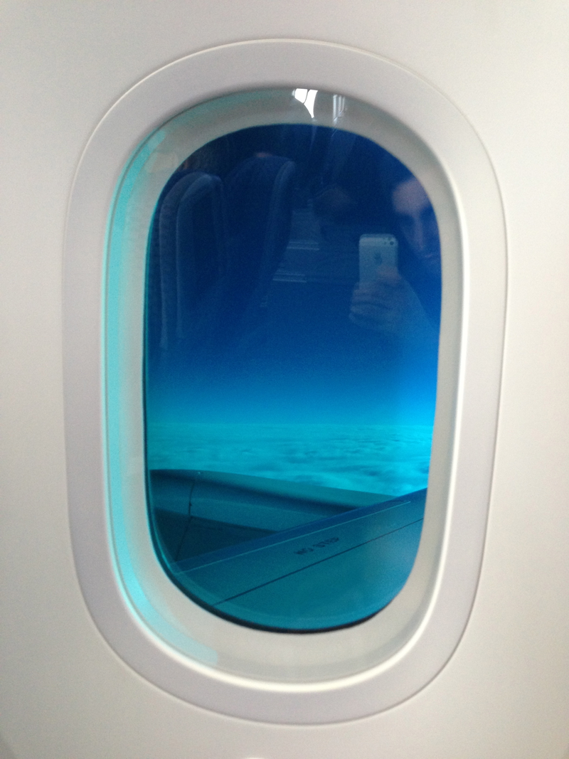 Illustration for article titled I Was A Passenger On The First Boeing 787 Dreamliner Flight In The U.S.